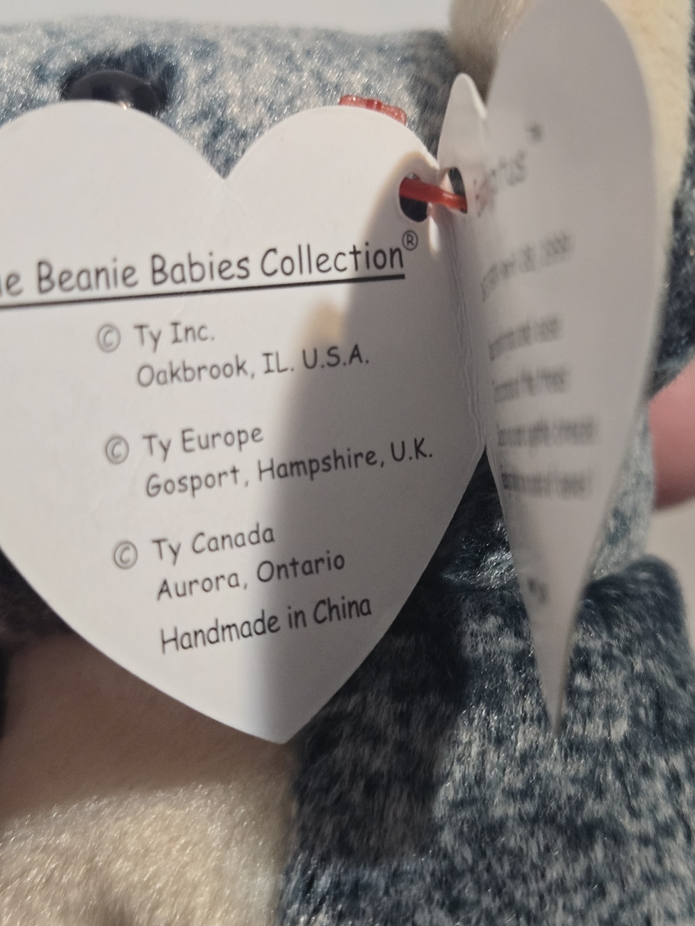 Ty Beanie BabyEucalyptus the Koala- introduced in 1999 - Picture 9 of 11